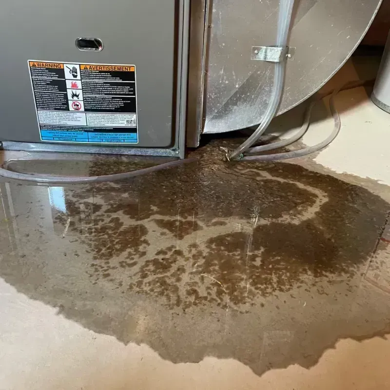 Appliance Leak Cleanup in Sugar City, ID